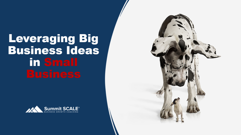 Leveraging Big Business Ideas in Small Business